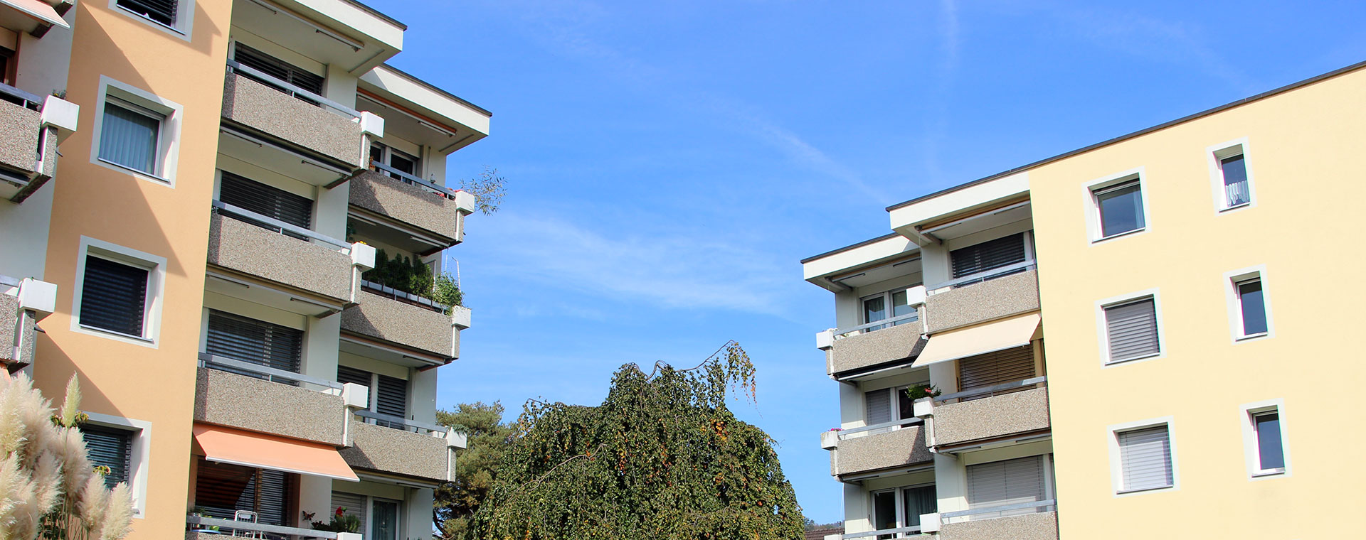 Allterswohnungen Dollikon Allterswohnungen Dollikon