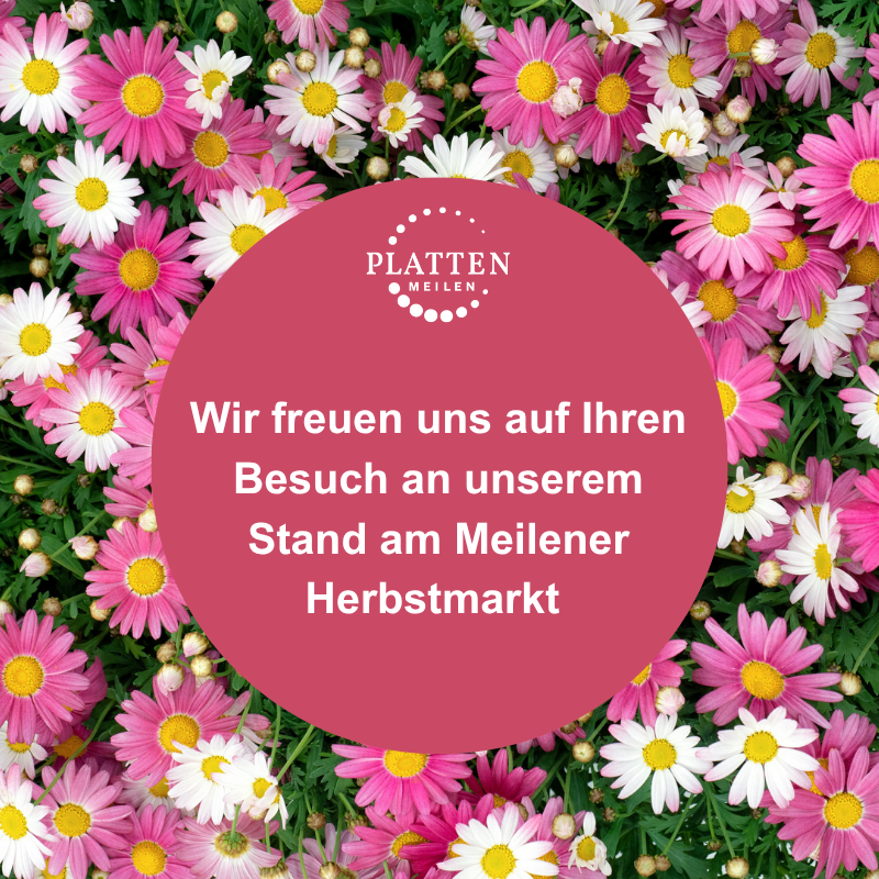 Wir sind am Herbstmarkt!